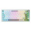 TECLADO ROYAL KLUDGE RK50 TKL 75% SILVER SPEED RGB