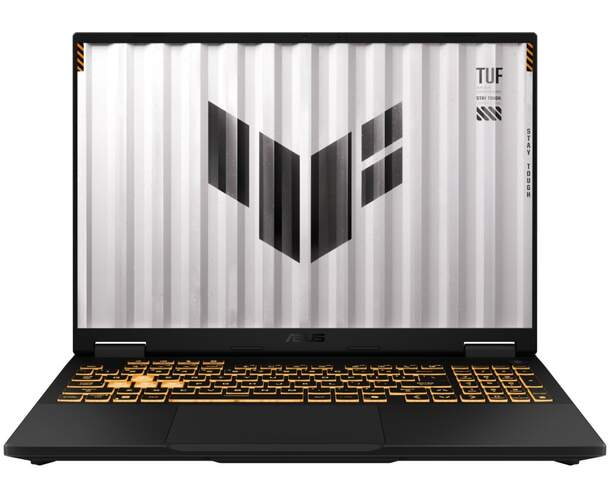 Port&aacute;til Asus TUF608JPR