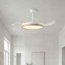 VENTILADOR TECHO RETRACT ORBEGOZO CP160105 30W DC