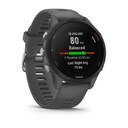SMARTWATCH GARMIN FORERUNNER 255 010-02641-10 GRIS