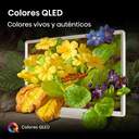 TV HISENSE 32%%%quot; 32S5Q FHD QLED SMART TV DECO