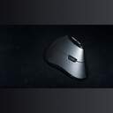 RATON ELBE RT-102 ERGONOMICO VERTICAL INA