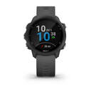 SMARTWATCH GARMIN FORERUNNER 245 010-02120-10 GRIS