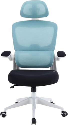 Silla de oficina Woxter Ergo