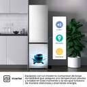 FRICOM. HISENSE RB440N4ACA 202x60x58 NF INOX