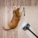 ASPI. ESCOBA CECOTEC ROCKST. 2500 X-TREME