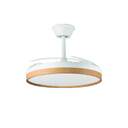 VENTILADOR TECHO RETRACT ORBEGOZO CP160105 30W DC