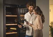 VINOTECA HAIER HWS247GEH1 247B