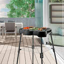 BARBACOA TAURUS MAXIMS PLUS C/PATAS 2000W