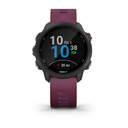 SMARTWATCH GARMIN FORERUNNER 245 010-02120-11 CERE