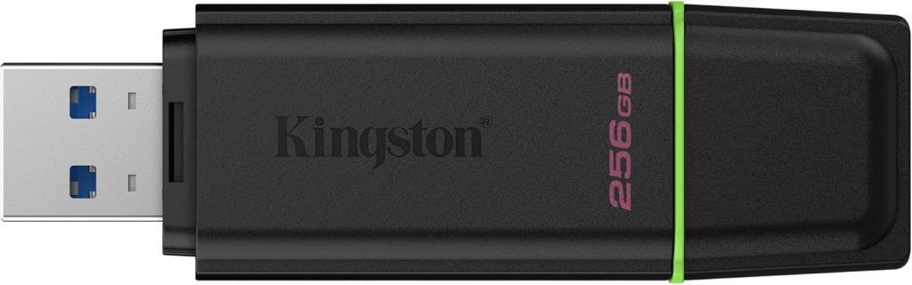 Memoria USB Kingston 256 GB