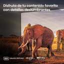 TV HISENSE 75%%%quot; 75U8KQ UHD MINILED ULED QLED 144HZ