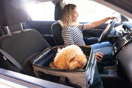 CARRO-COMPRA CARLETT CUBE P PINE MASCOTAS