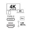 CABLE SILVER HT LOGAN 4  CONNECT USB C A HDMI