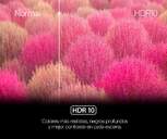 TV GENIUM 55%%%quot; GTV55UHD UHD WEBOS