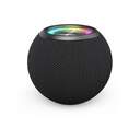 ALTAVOZ HAMA 00188237 BALL SHAPE NEGRO
