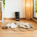 COMEDERO CECOTEC MASCOTAS 09565 WIFI 6L CTRL.PORC