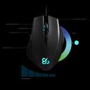 RATON NEWSKILL HABROK