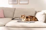 ALMOHADILLA MASCOTAS BEURER PP210 PEQUE%%%#209;A LILLI