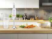 BATID. FLAMA 2032FL 850W S/A PIE INOX