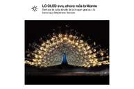 TV LG 42" OLED evo 42C64LA TV LG 42%%%quot; 42C64LA UHD OLED EVO A11 165HZ WEBOS26