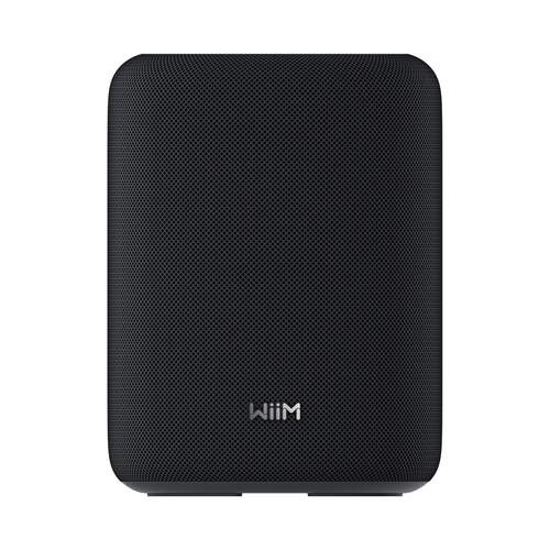 ALTAVOZ WIIM SOUND LITE BLUETOOTH 100W NEGRO