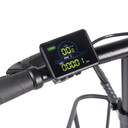 BICICLETA ELECTRICA YOUIN BK1750 LUXOR II PRO A/N