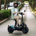 CICLOMOTOR CECOTEC MAKALU PRO 1000W 13,5%%%quot;