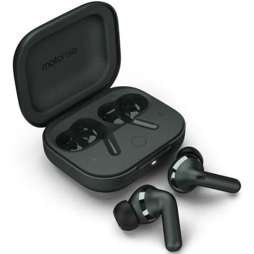 Auriculares Motorola Buds+ Forest Grey