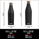 BOTELLA SIGG MERIDIAN BLACK 0.5 L