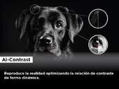 TV TCL 75%%%quot; 75C845 UHD MINILED QLED GOOGLETV 144HZ