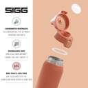 BOTELLA SIGG SHIELD THERM ONE ECO RED 1.0 L