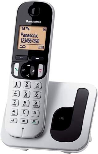 Teléfono Inalámbrico Panasonic KX-TGC210 SPS Gris