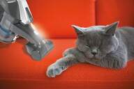 ASPI. ESCOBA HOOVER HF322TP 22V DOBLE LED PARKING