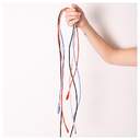 CABLE DCU USB C a USB C 1M ROJO