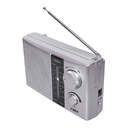 RADIO PORTATIL ELBE NOVEEN PR451 PLATA