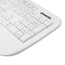 TECLADO PHOENIX K201 ERGONOMICO INALAMBRICO BLANCO