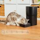 COMEDERO CECOTEC MASCOTAS 09565 WIFI 6L CTRL.PORC