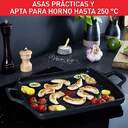 PLANCHA ASADORA TEFAL ROBUSTO E24998A 32x26CM