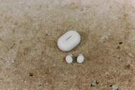 AURICULARES BOSE QUIETCONFORT EARBUDS WHITE