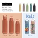 BOTELLA SIGG SHIELD THERM ONE ECO RED 1.0 L