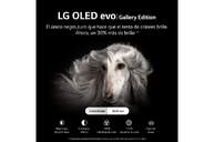 TV LG 97%%%quot; 97G29LA UHD OLED EVO ALFA9