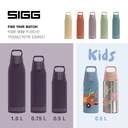 BOTELLA SIGG SHIELD THERM ONE NOCTURNE 0.75 L