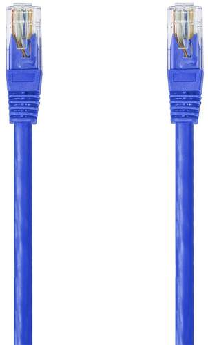 Conexión DCU UTP Cat6 Azul, 3 metros