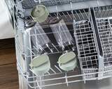 BATID. VASO FLAMA 2224FL SMOOTHIE 300W MINT GREEEN