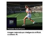 TV SAMSUNG 43%%%quot; TQ43QN90C NEOQLED UHD SMART TV 144H