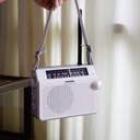 RADIO PORTATIL SANGEAN PR-D6 BLANCO FM/AM