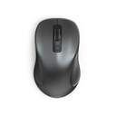 RATON HAMA 00182643 CANOSA V2 ANTRACITA