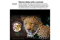 TV LG 55%%%quot; 55QNED92A6A UHD QNED EVO MINILED ALFA8