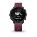 SMARTWATCH GARMIN FORERUNNER 245 010-02120-11 CERE